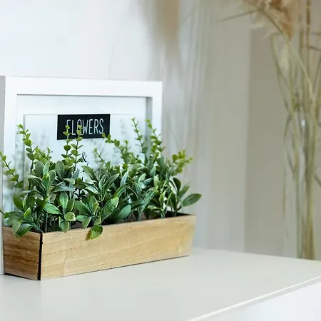 Апартаменты Roni + Besplatan Parking Задар