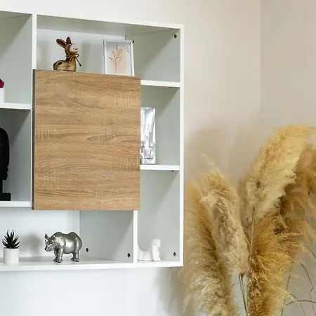 Roni + Besplatan Parking