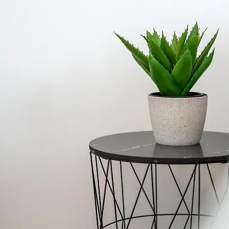 Roni + Besplatan Parking Zadar