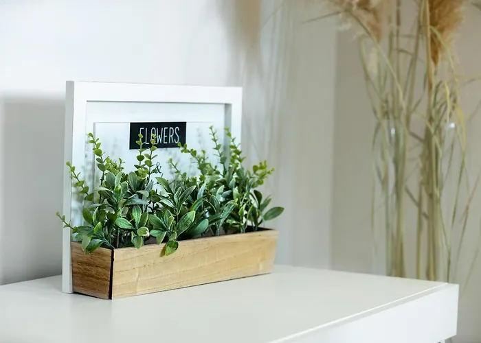 Apartment Roni + Besplatan Parking Zadar