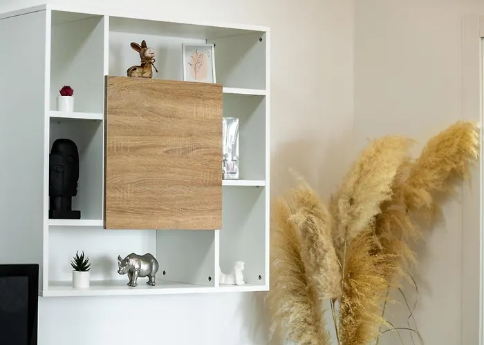 Roni + Besplatan Parking