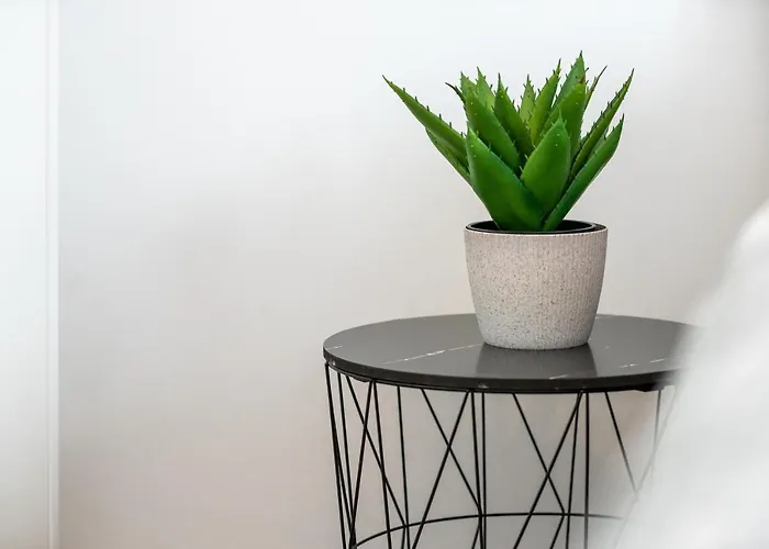 Roni + Besplatan Parking Zadar